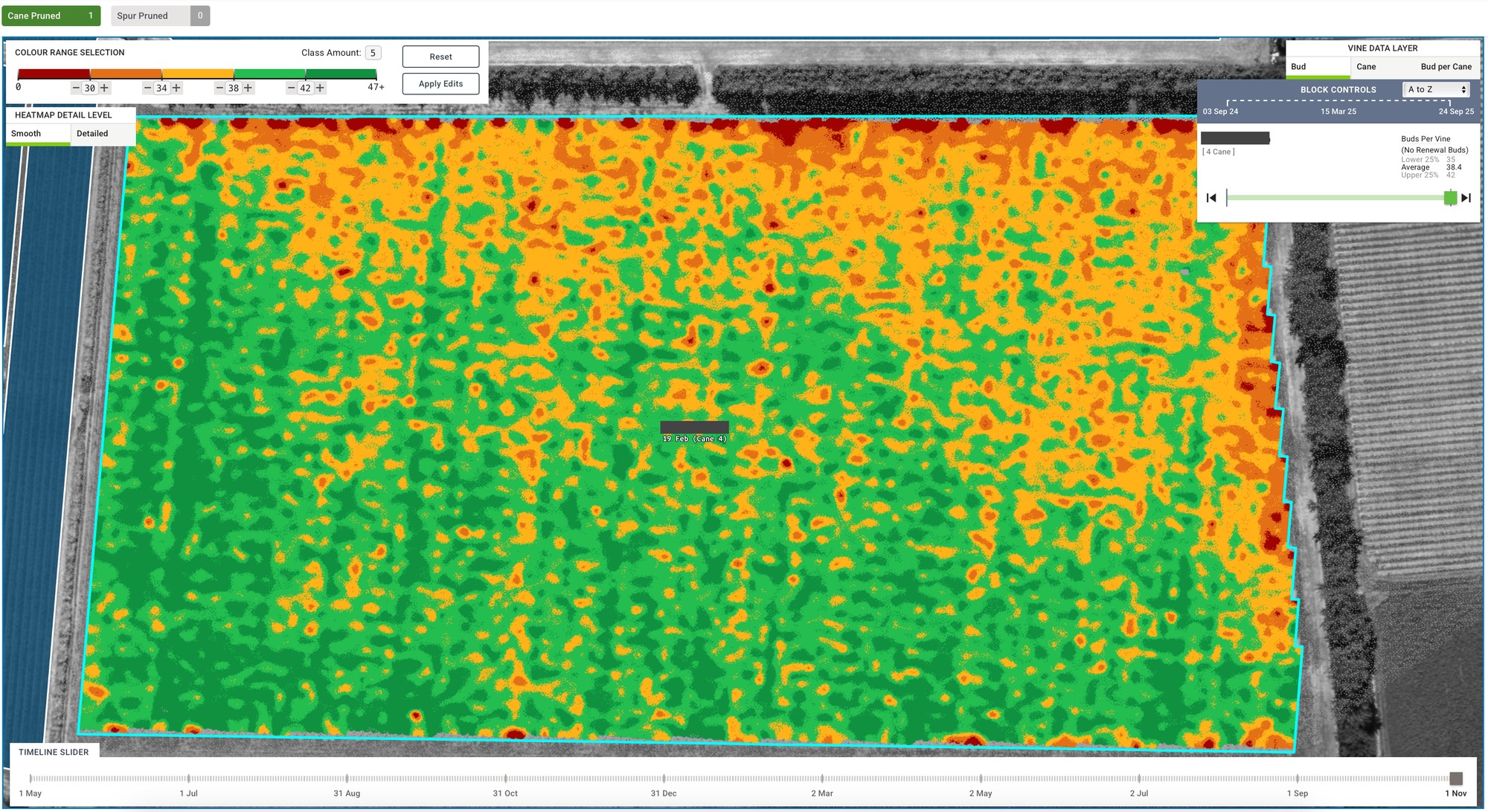 An Osiris heatmap of a vineyard block’s winter bud counts, buds per vine shaded from red for low through orange and yellow to green for high along the rows