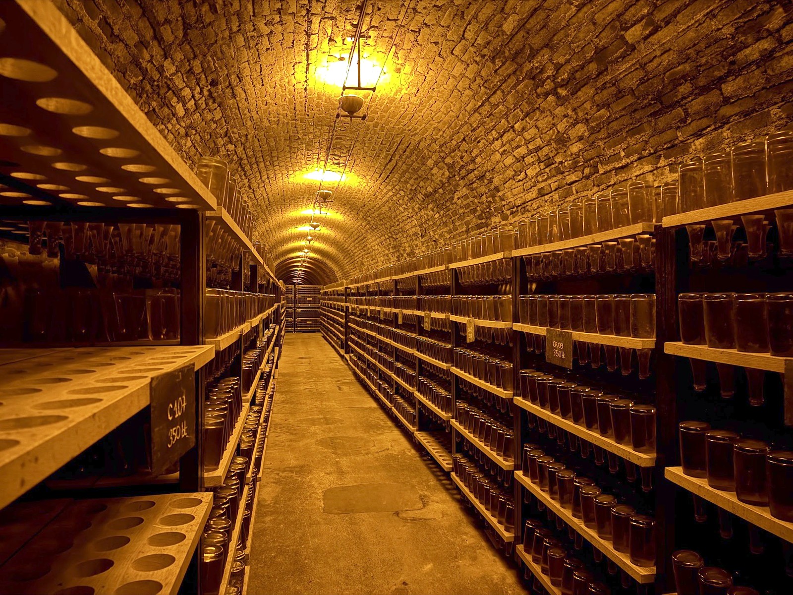 A vaulted brick cellar tunnel lined floor to ceiling with racked wine bottles