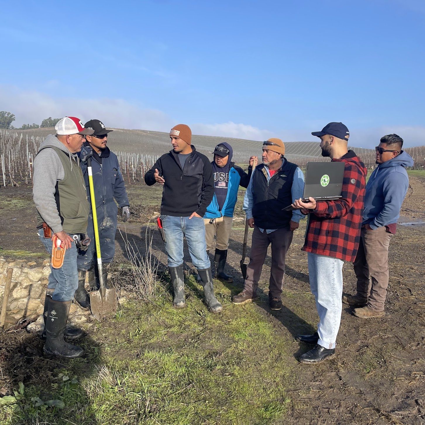 Growers and Cropsy staff standing in a winter vineyard reviewing scan results on a laptop together