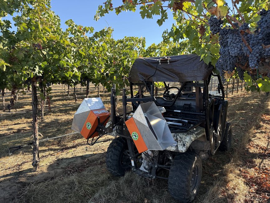 A black side-by-side buggy with Cropsy scanner units parked among vines heavy with ripe grapes