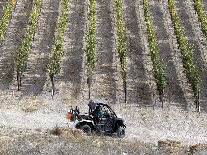 A scanner-fitted buggy on a headland track beside long rows of trellised vines