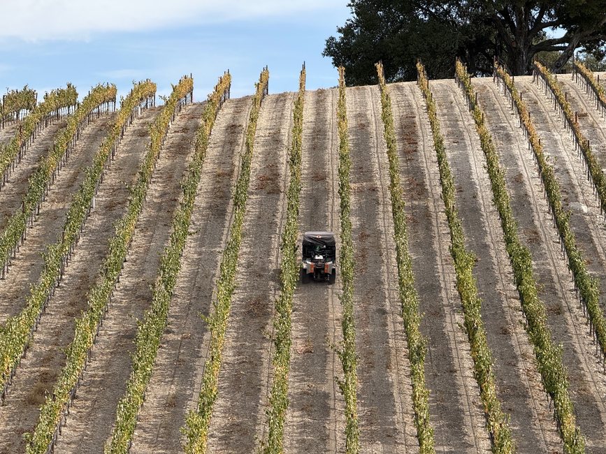 A scanner-equipped vehicle working a hillside block, seen small against wide rows of vines
